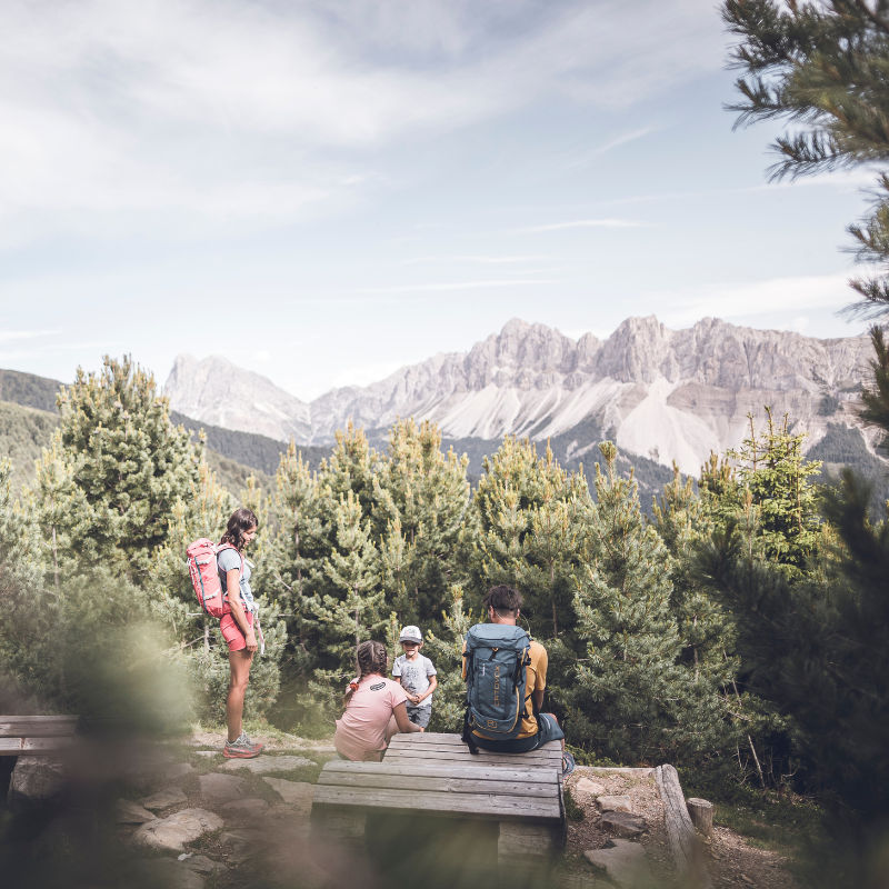 Woodywalk plose brixen