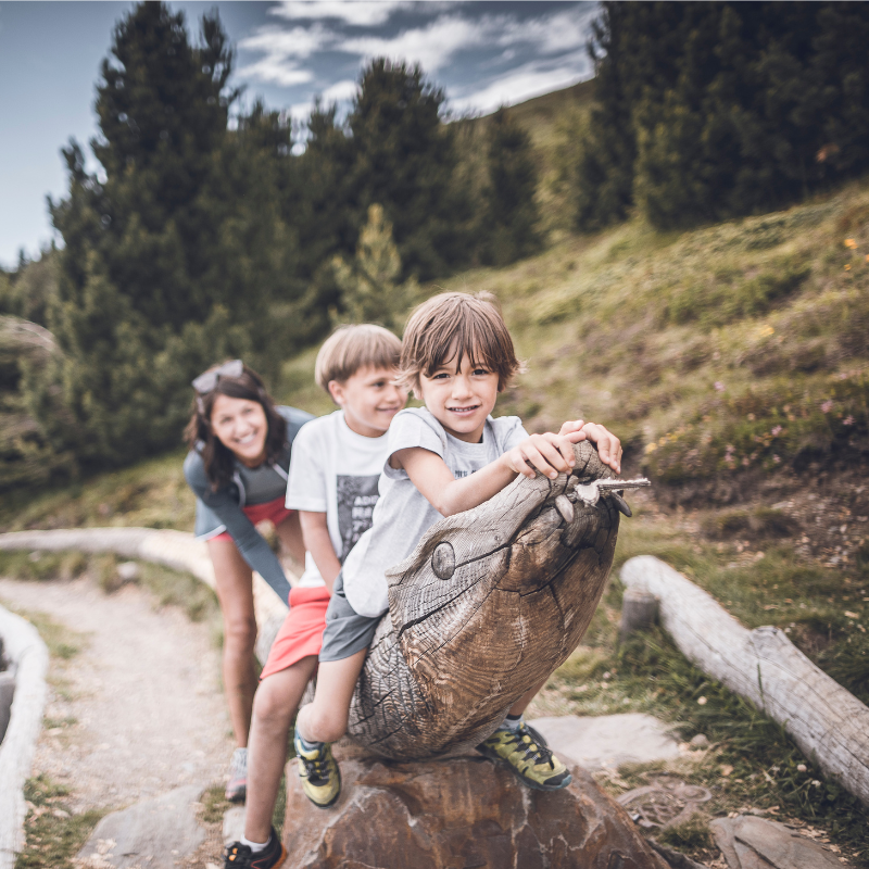 Woodywalk plose brixen